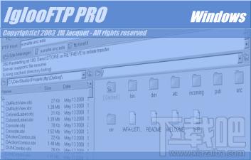 IglooFTP,IglooFTP Pro,IglooFTP Pro下载,FTP
